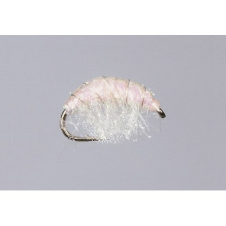 Pink Hunchback Sparkle Scud