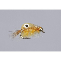 Rainys BH Orange Big Eye Scud