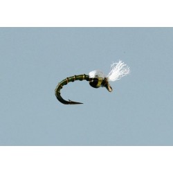 Rainys Olive Marc O Midge