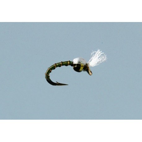 Rainys Olive Marc O Midge