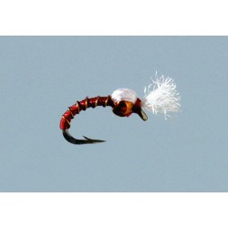 Rainys Red Marc O Midge