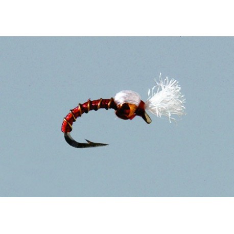 Rainys Red Marc O Midge