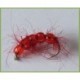 Red Bead Larva