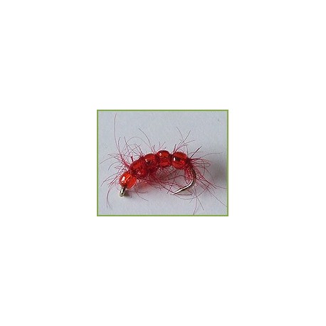 Red Bead Larva