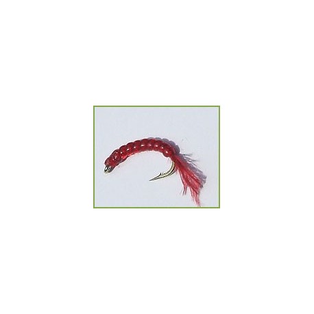 Red Mosquito Larva