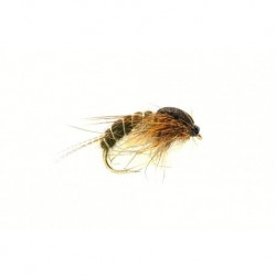 Sedge Dark Olive Hatching