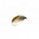 Sedge Light Olive Hatching