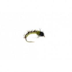 Shaggy Wire Caddis