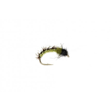 Shaggy Wire Caddis