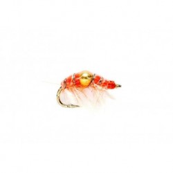Shrimp Orange (Gold Nugget)
