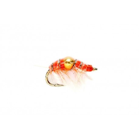 Shrimp Orange (Gold Nugget)