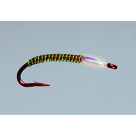 Solomons Go Go Dancer Pearl