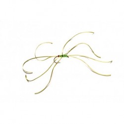 Spider Northern Olive Red