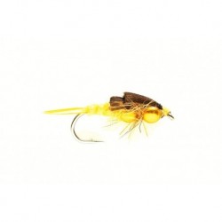 Stonefly (Gold Nugget)
