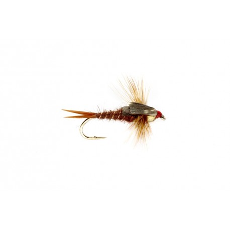 Stonefly Nymph Brown (Tungsten Bead Head)