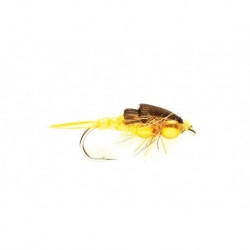 Stonefly Yellow (BH)
