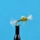 Suspended Midge Pupa Olive