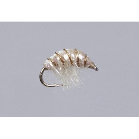 Tan Hunchback Sparkle Scud