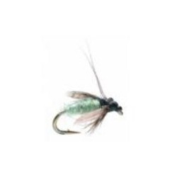 TASHIRO'S CADDIS PUPA