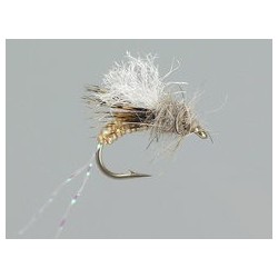 Taylors Bread and Butter