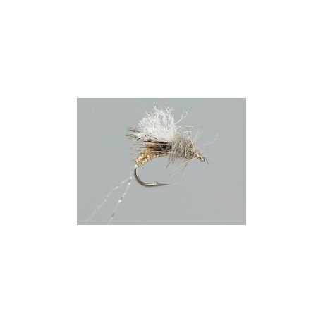 Taylors Bread and Butter