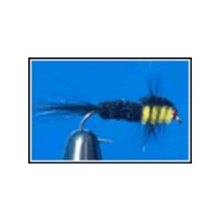 Montana Yellow  small