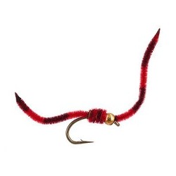 Tiger Worm Red
