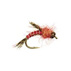 Bh Berry Nymph Raspberry Red