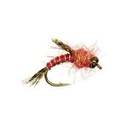 Bh Berry Nymph Raspberry Red