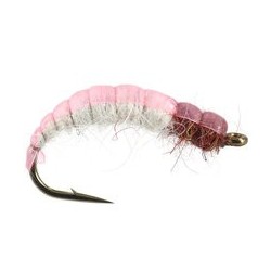 White Back Pink Czech Nymph