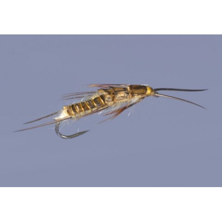 Whitlocks Stone Nymph Dark