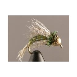 Bh Bird of Prey Olive