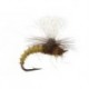 Christiaens Gt Adult Bwo