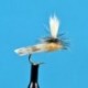 Parachute Caddis Black