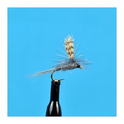 Parachute Callibatis