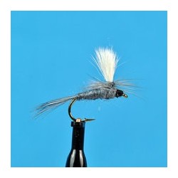 Parachute Cinnamon Ant