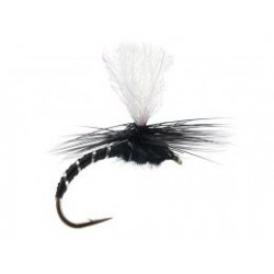 Parachute Dark Hendrickson