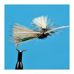 Parachute Light Cahill