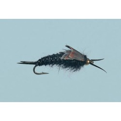 Bh Black Western Stone Nymph Weighted