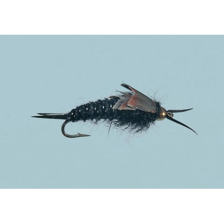 Bh Black Western Stone Nymph Weighted