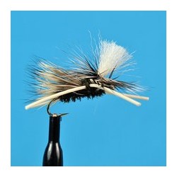 Parachute Madam X Pmx Olive