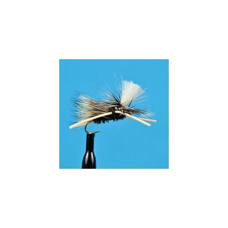 Parachute Madam X Pmx Olive