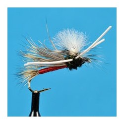 Parachute Madam X Pmx Orange