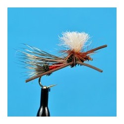 Parachute Madam X Pmx Peacock