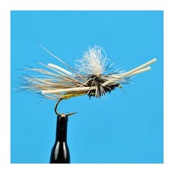 Parachute Madam X Pmx Red