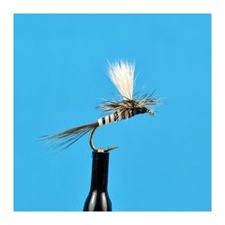 Parachute March Brown