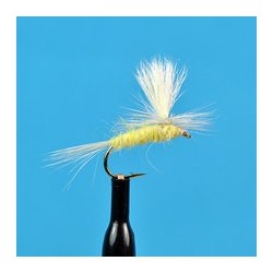 Parachute March Brown