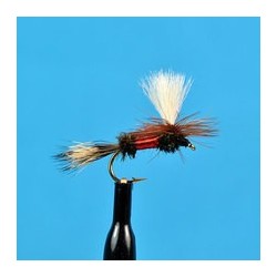 Parachute Purple Haze Krystal Flash