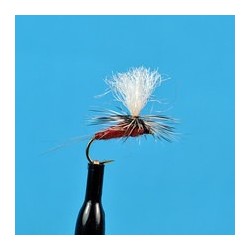 Parachute Royal Coachman