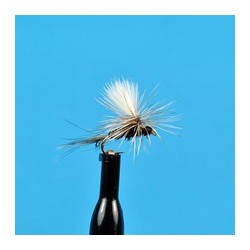 Parachute Royal Wulff